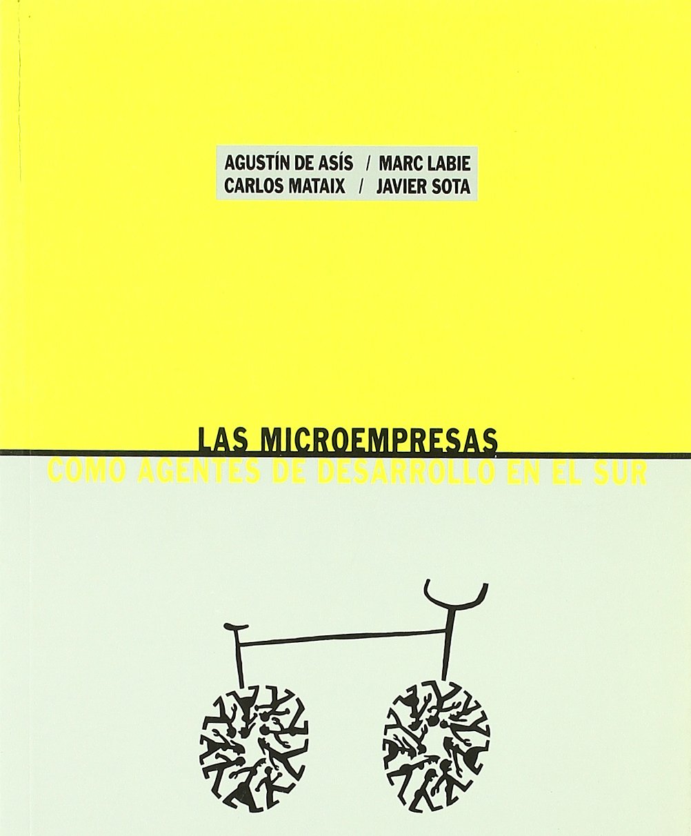 las microempresas como agentes de desarrollo en el sur (sin coleccion)