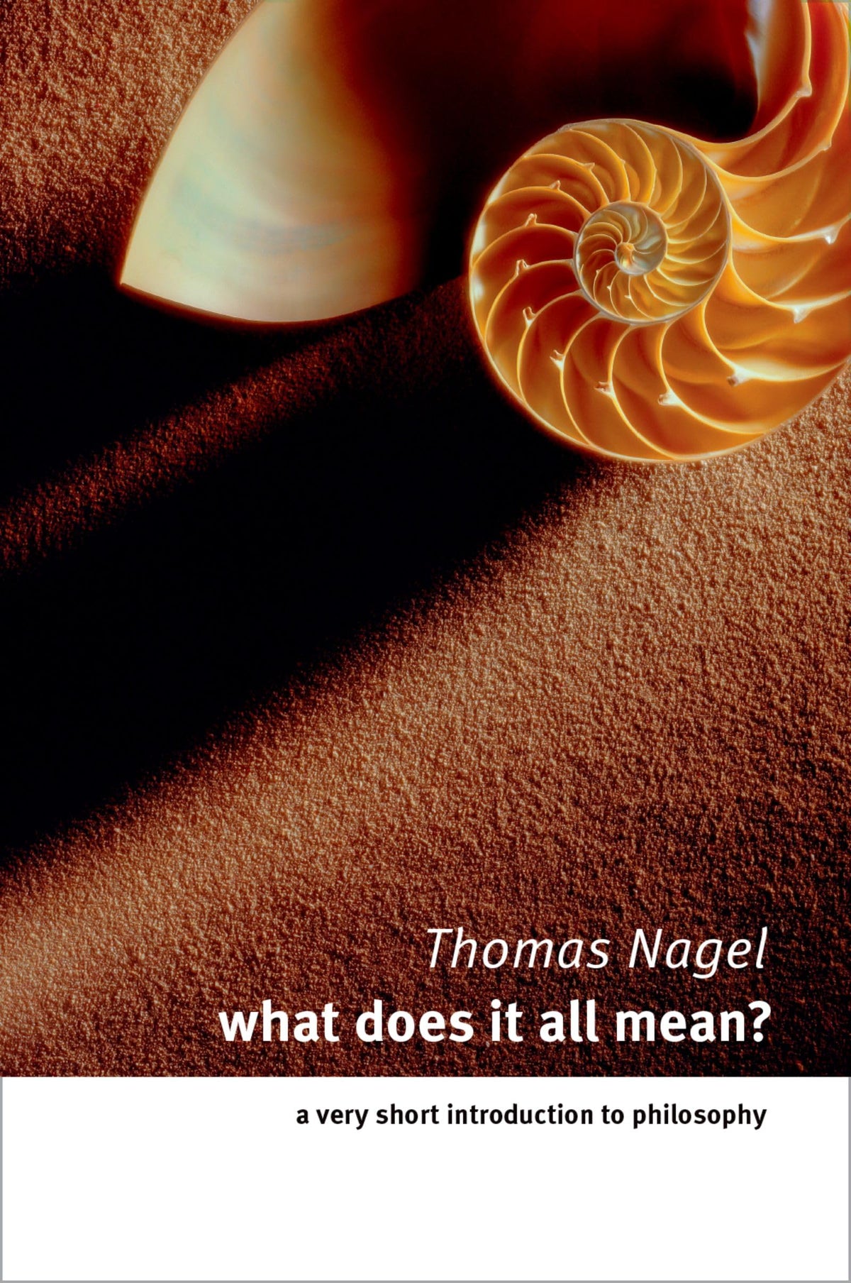 what does it all mean?: a very short introduction to philosophy