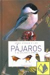 cómo atraer a los pájaros a su balcón o jardín