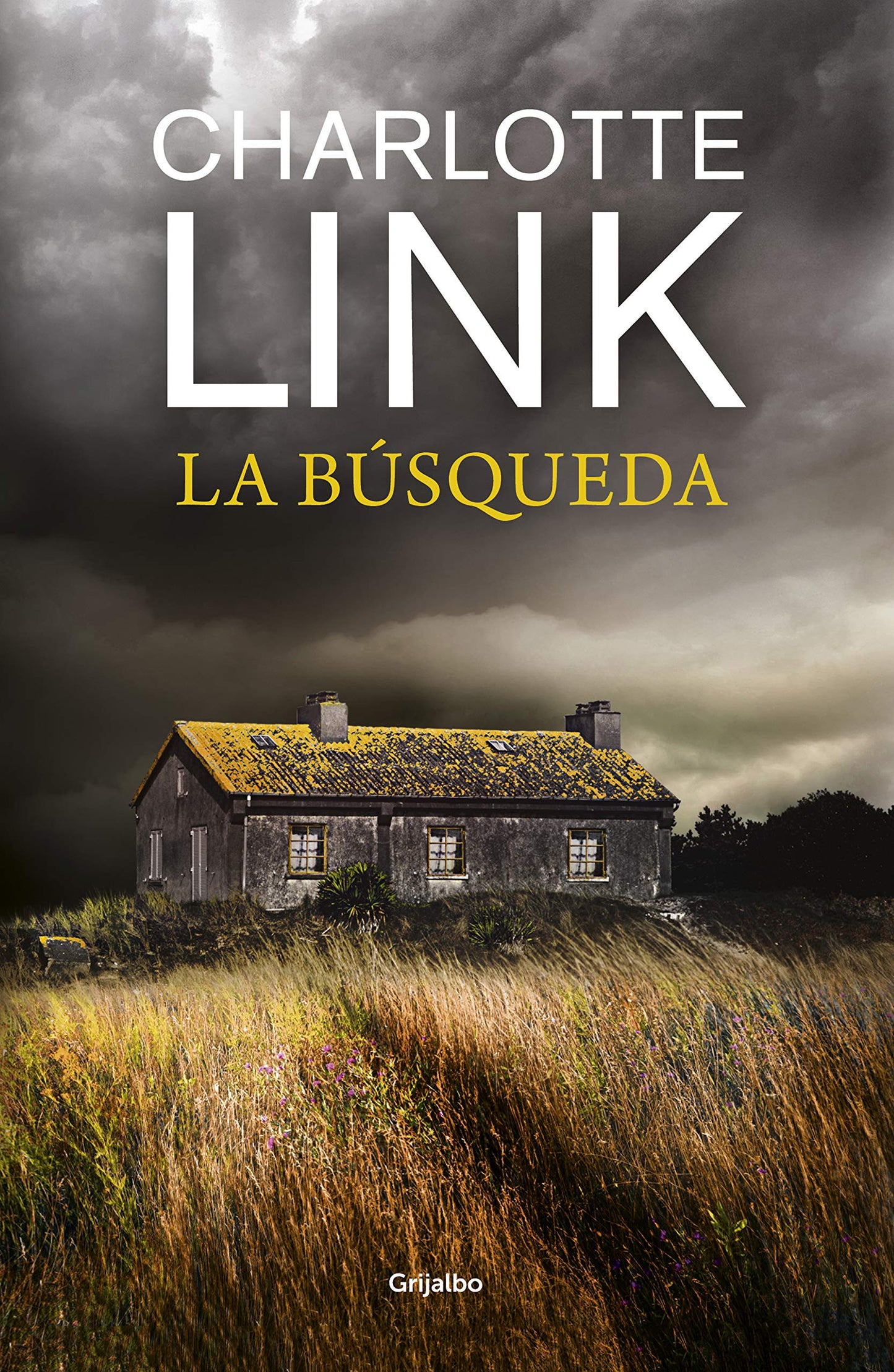 la búsqueda / the search