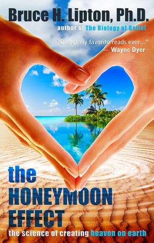 the honeymoon effect: the science of creating heaven on earth [paperback] [apr 01, 2014] lipton, bruce h., ph.d.