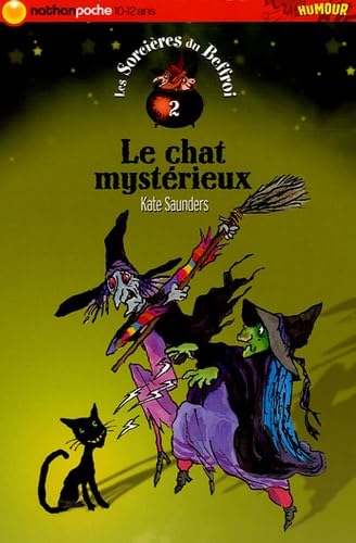 le chat mystérieux