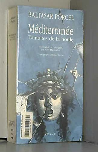 méditerranée: tumultes de la houle