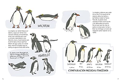 la vida en el océano: secretos y curiosidades del mundo marino (varios)