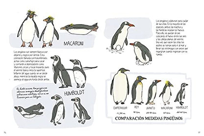 La vida en el océano: Secretos y curiosidades del mundo marino (VARIOS)