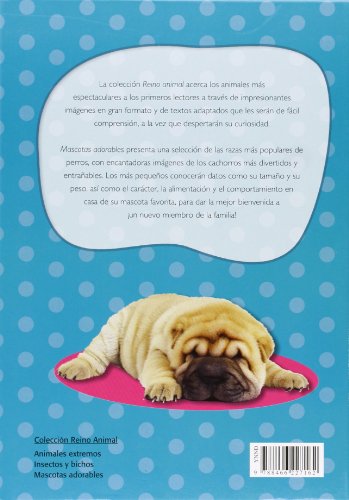 Mascotas adorables: 1 (Reino Animal)