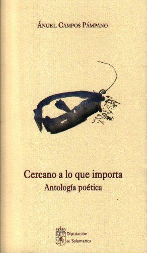 CERCANO A LO QUE IMPORTA