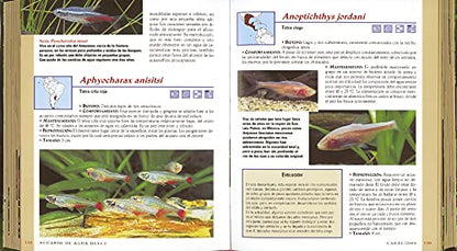 Acuario de agua dulce (Vida verde)