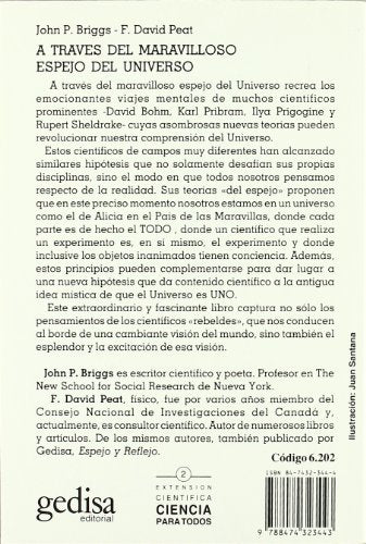 a través del maravilloso espejo del universo (sin coleccion)