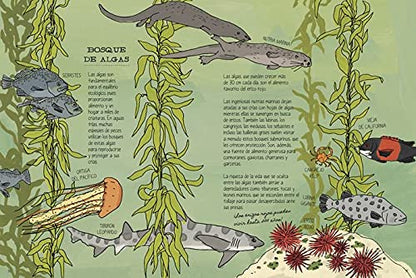 La vida en el océano: Secretos y curiosidades del mundo marino (VARIOS)