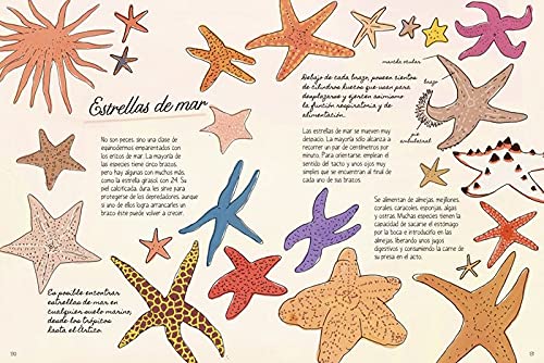 la vida en el océano: secretos y curiosidades del mundo marino (varios)