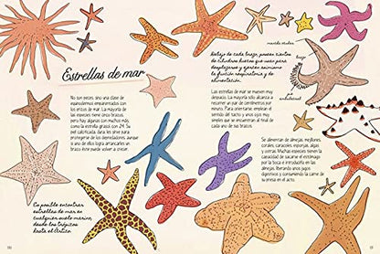 La vida en el océano: Secretos y curiosidades del mundo marino (VARIOS)