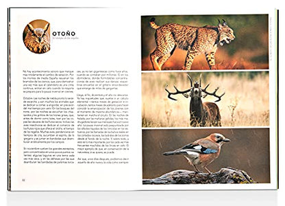 El sonido de la Naturaleza: Calendario sonoro de los paisajes de España (Guías Singulares)