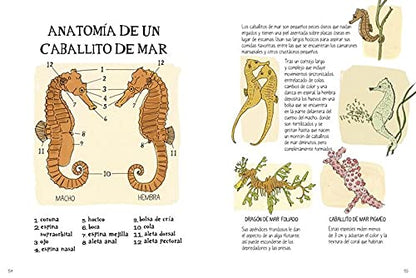La vida en el océano: Secretos y curiosidades del mundo marino (VARIOS)
