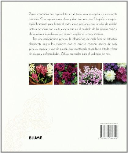 blume jardinería. jardinería en macetas
