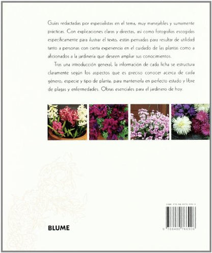 Blume Jardinería. Jardinería en macetas