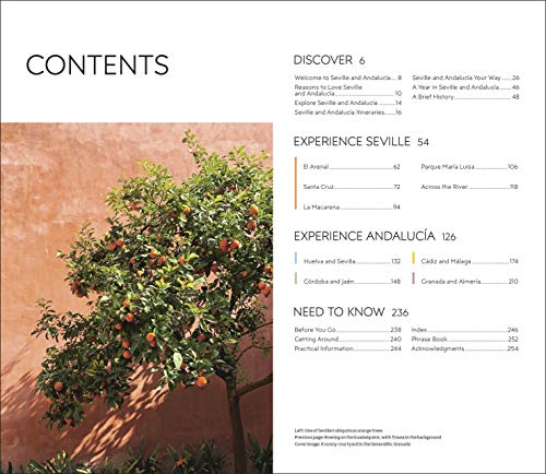 dk eyewitness travel guide seville and andalucia [idioma inglés]