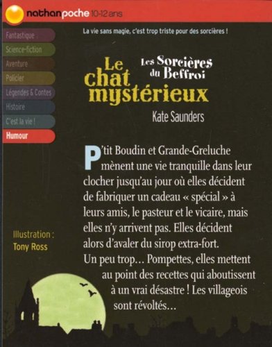 le chat mystérieux