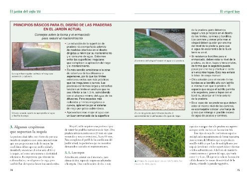 el jardín del siglo xxi: principios y técnicas para una jardinería más sostenible