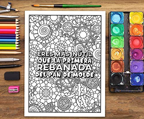 un libro de colorear para adultos: he decidido usar el sarcasmo porque matar es ilegal