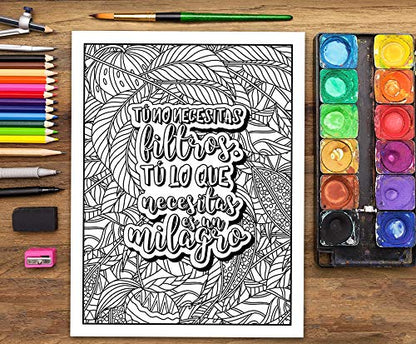 Un libro de colorear para adultos: He decidido usar el sarcasmo porque matar es ilegal