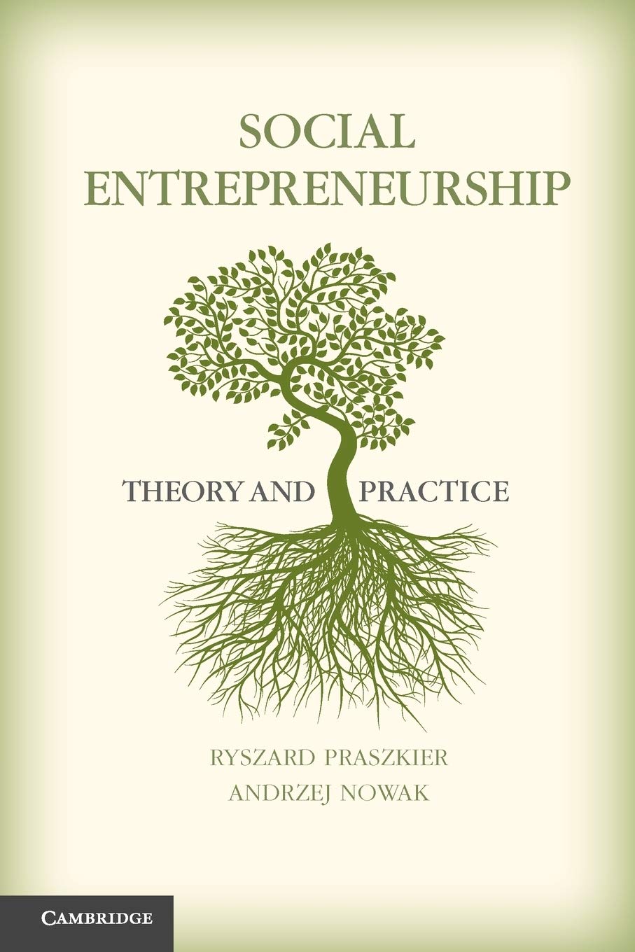 social entrepreneurship: theory and practice