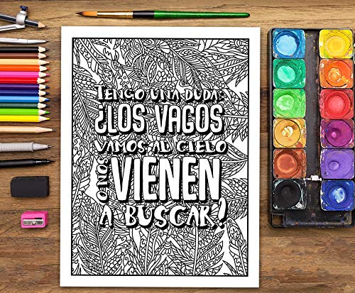 un libro de colorear para adultos: he decidido usar el sarcasmo porque matar es ilegal