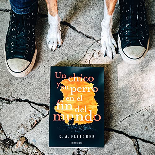 un chico y su perro en el fin del mundo (ciencia ficción)