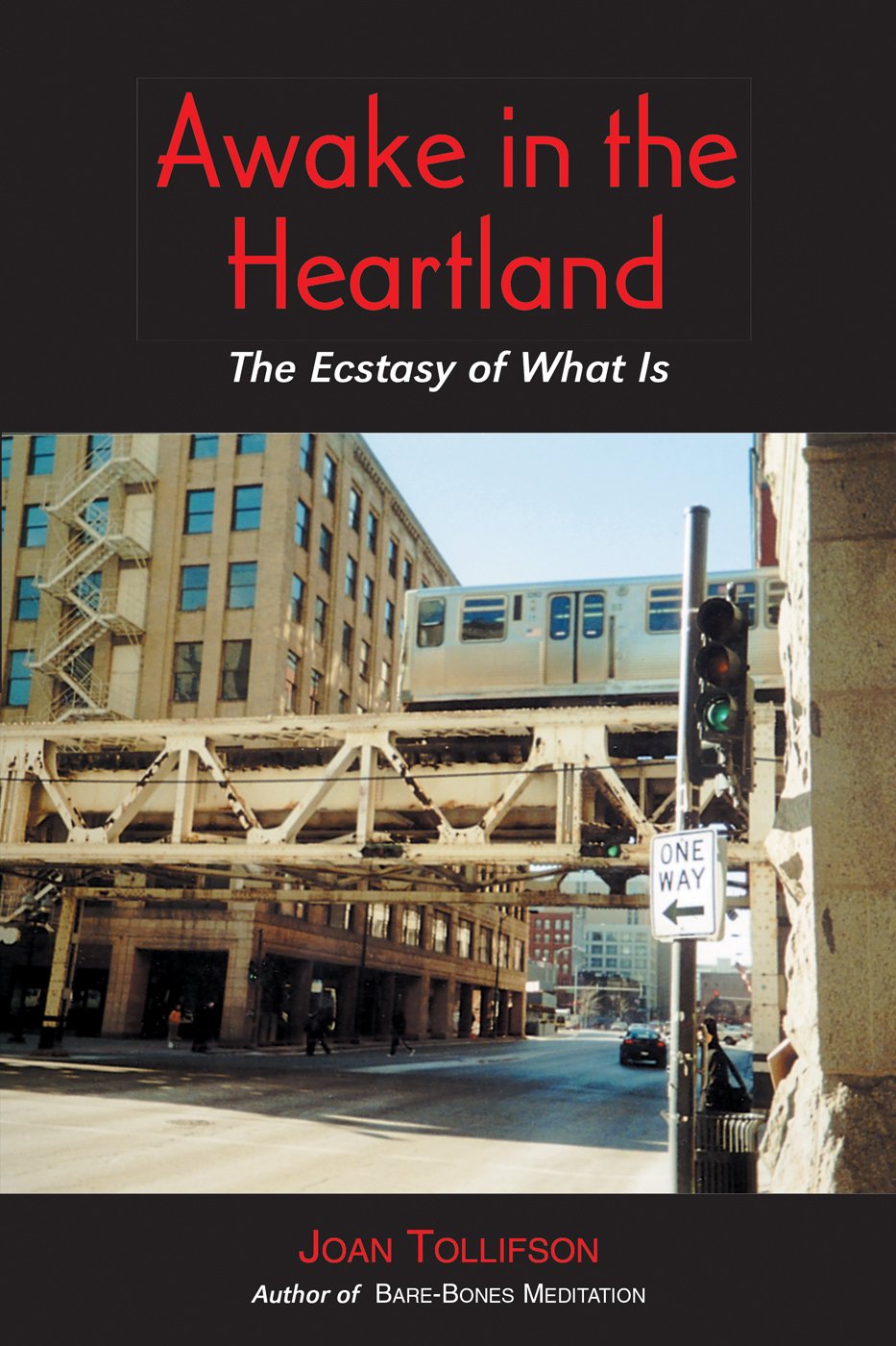 awake in the heartland: the ecstasy of what is