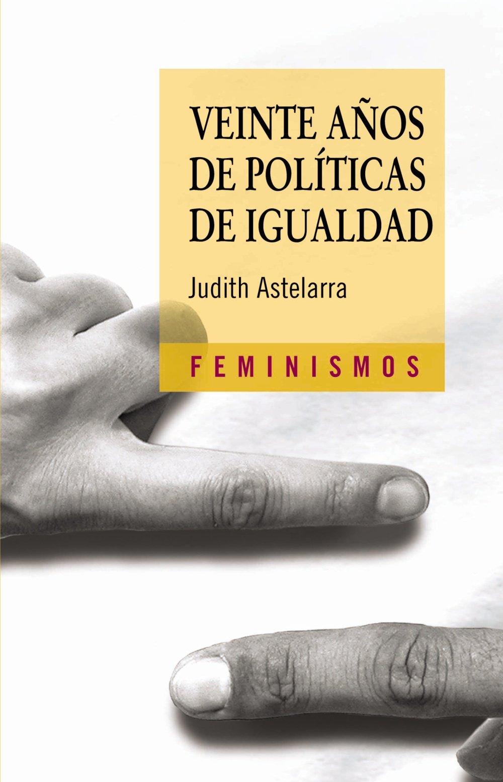 veinte años de políticas de igualdad (feminismos)