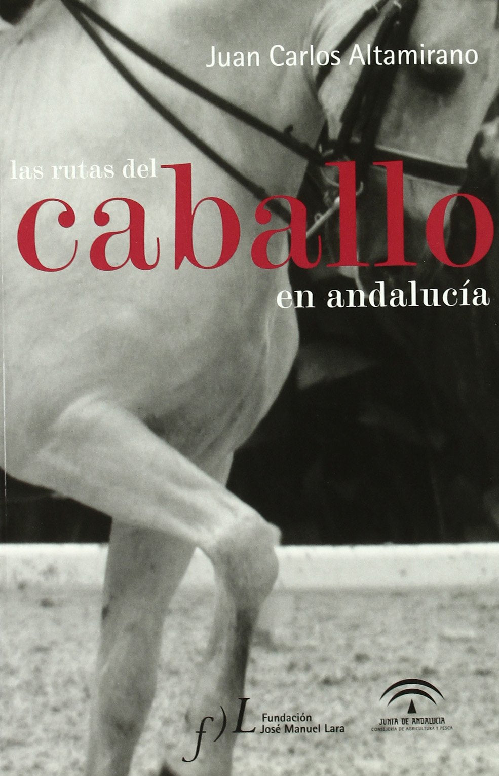 las rutas del caballo en andalucía - juan carlos altamirano