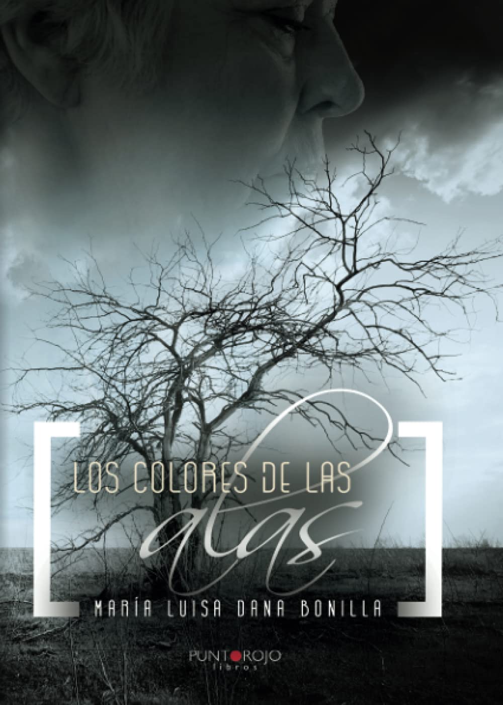 los colores de las alas