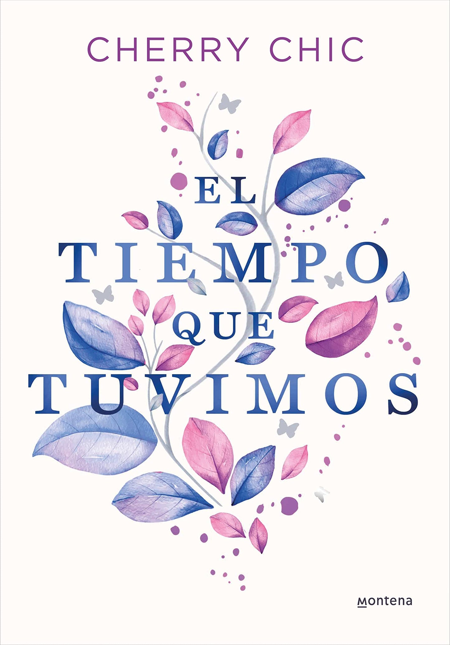 el tiempo que tuvimos (montena)