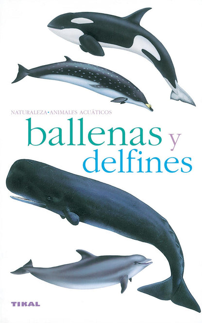 Ballenas Y Delfines
