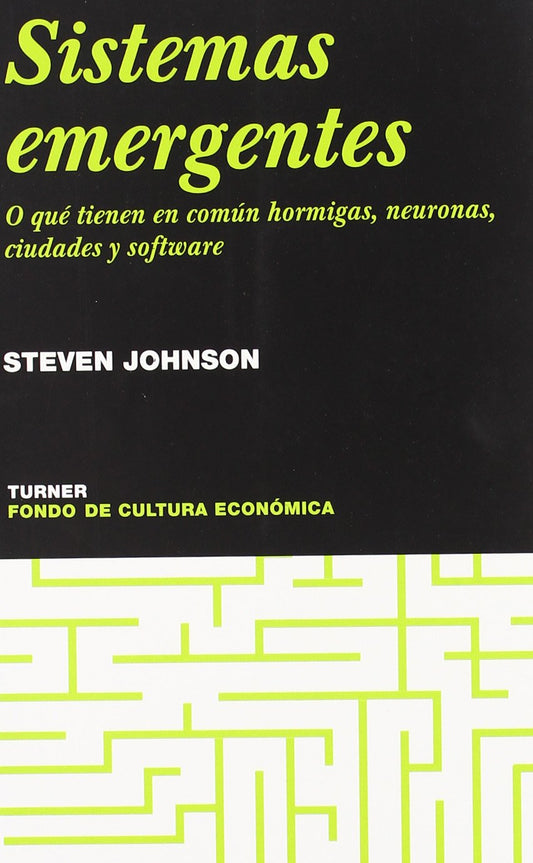 Sistemas emergentes: O qué tienen en común hormigas, neuronas, ciudades y software (Noema)