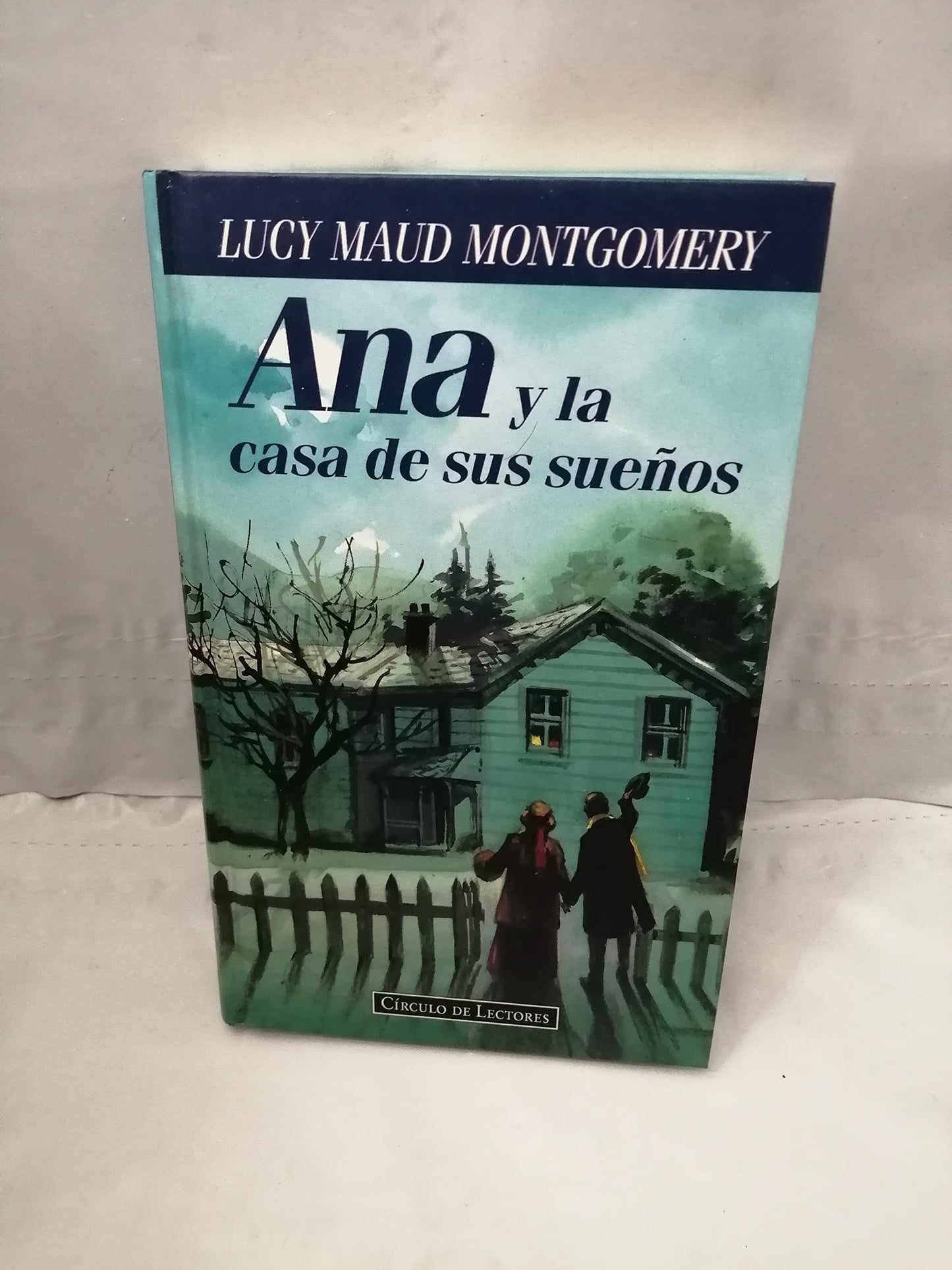 ana y la casa de sus sueños