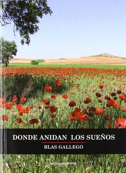 Donde Anidan Los Sueños (Narrativa)