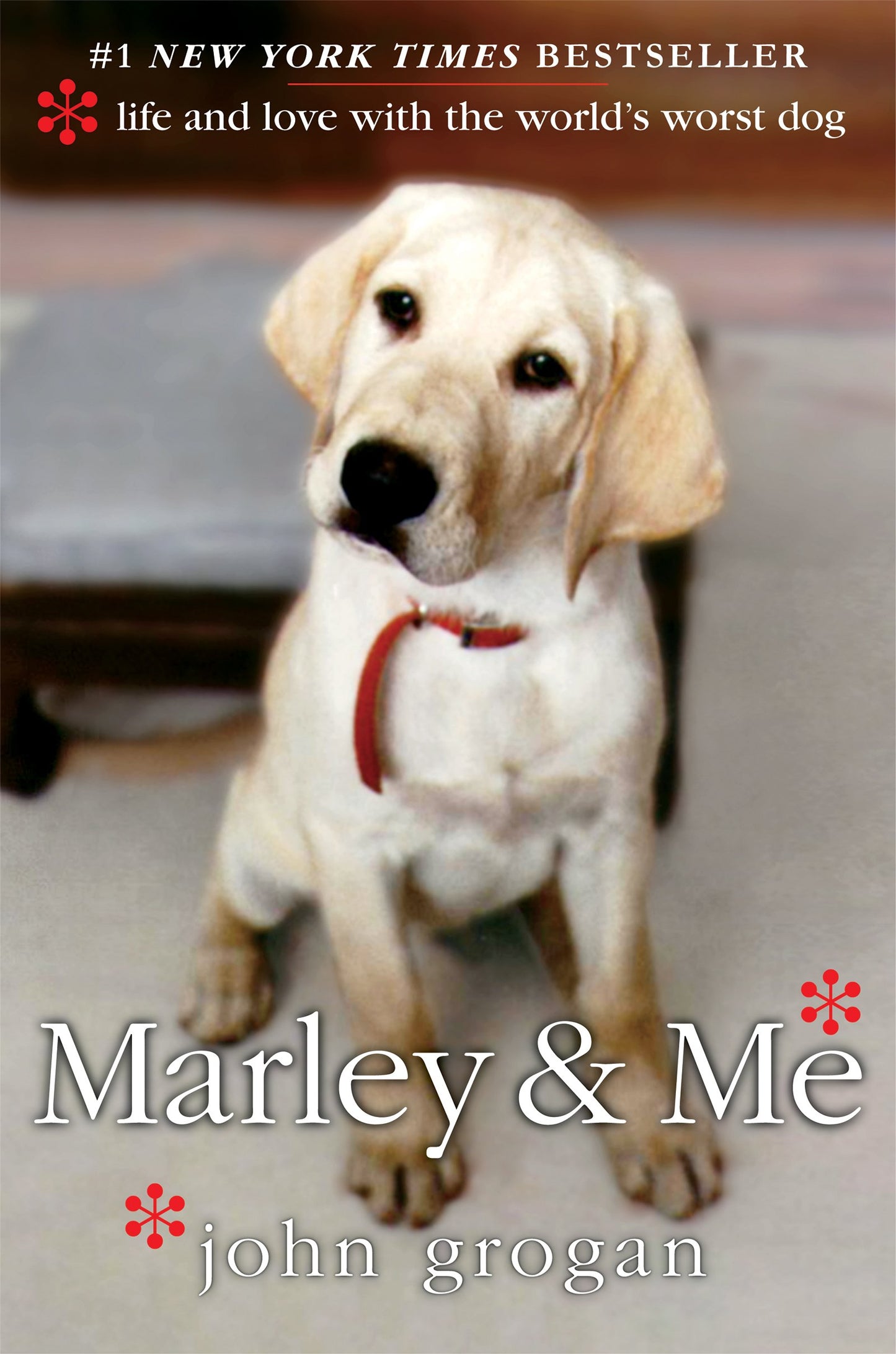 marley & me: life and love with the world's worst dog