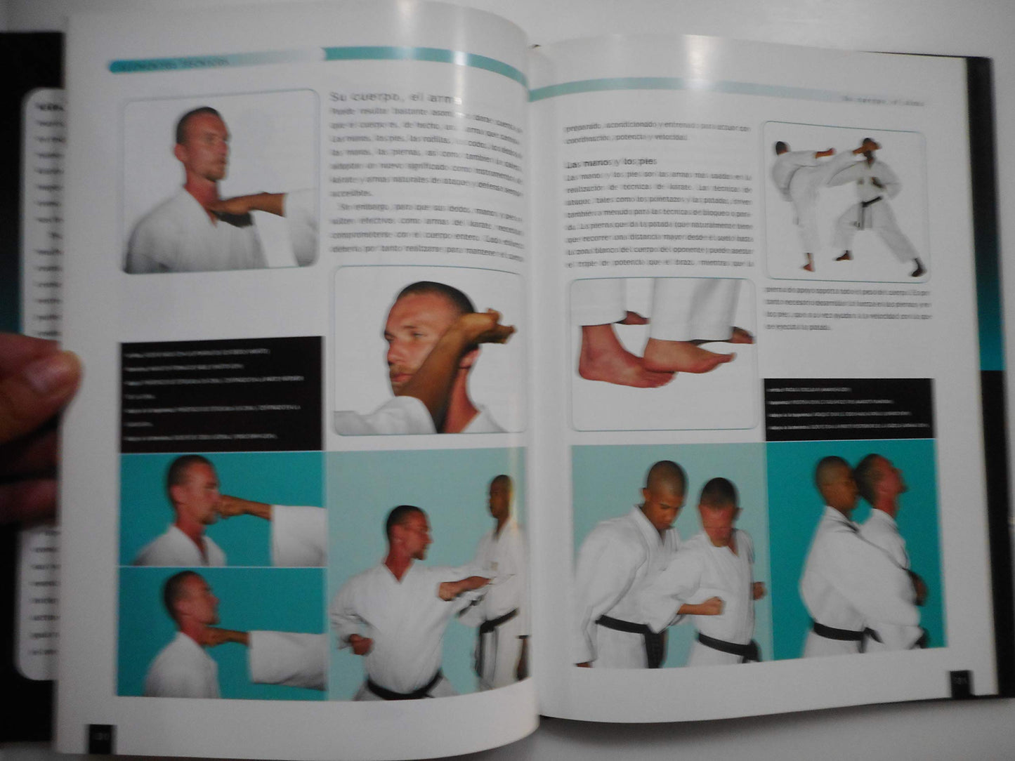 karate: guia basica para conocer este arte marcial / the essential guide to mastering the art (artes marciales series / martial arts series)