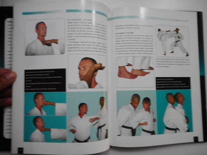 Karate: Guia Basica para Conocer Este Arte Marcial / The Essential Guide to Mastering the Art (Artes Marciales Series / Martial Arts Series)