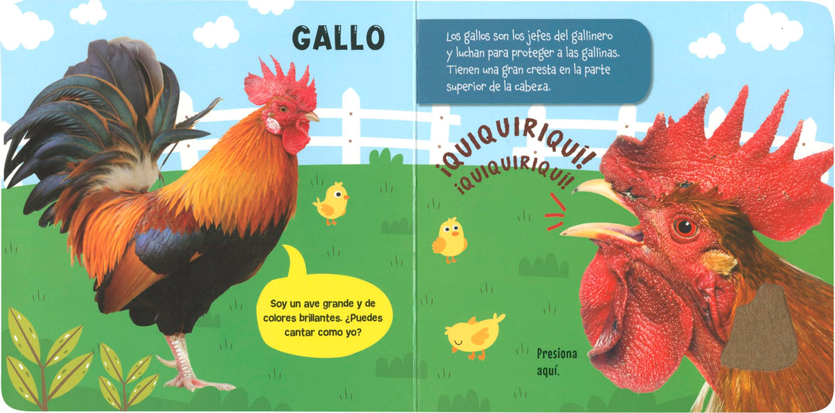 la granja (sonidos y texturas)