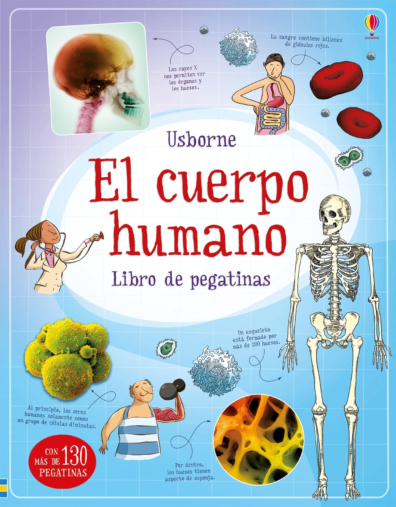 el cuerpo humano (libros de pegatinas (referencia))