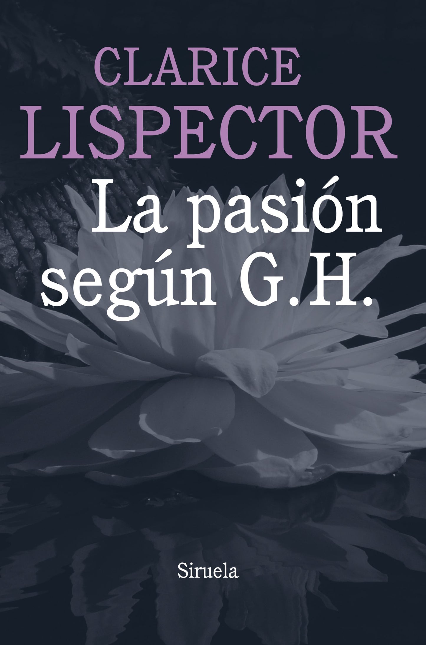 la pasión según g. h.: 1 (biblioteca clarice lispector)