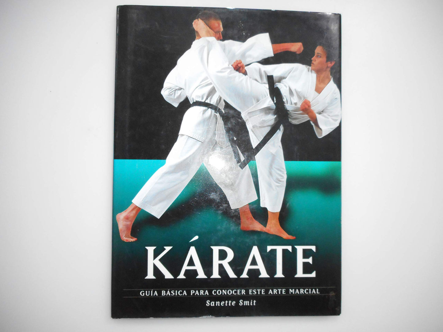 karate: guia basica para conocer este arte marcial / the essential guide to mastering the art (artes marciales series / martial arts series)