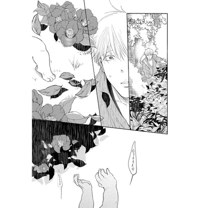 Akatsubaki