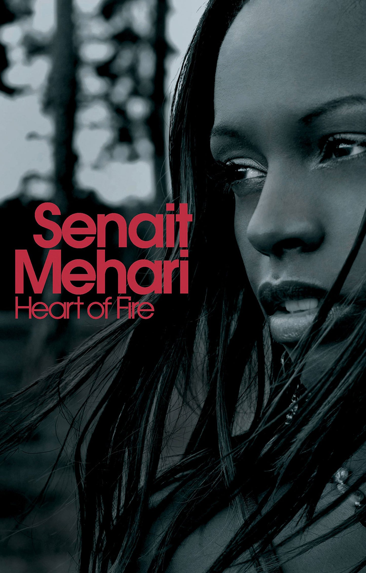 heart of fire: missing - from child soldier to soul singer
