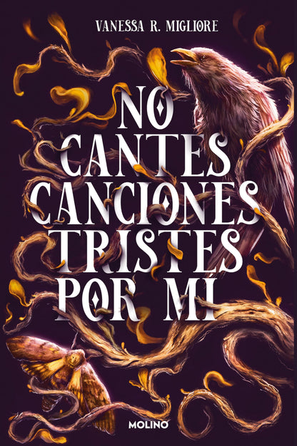 No cantes canciones tristes por mí (Ficción)