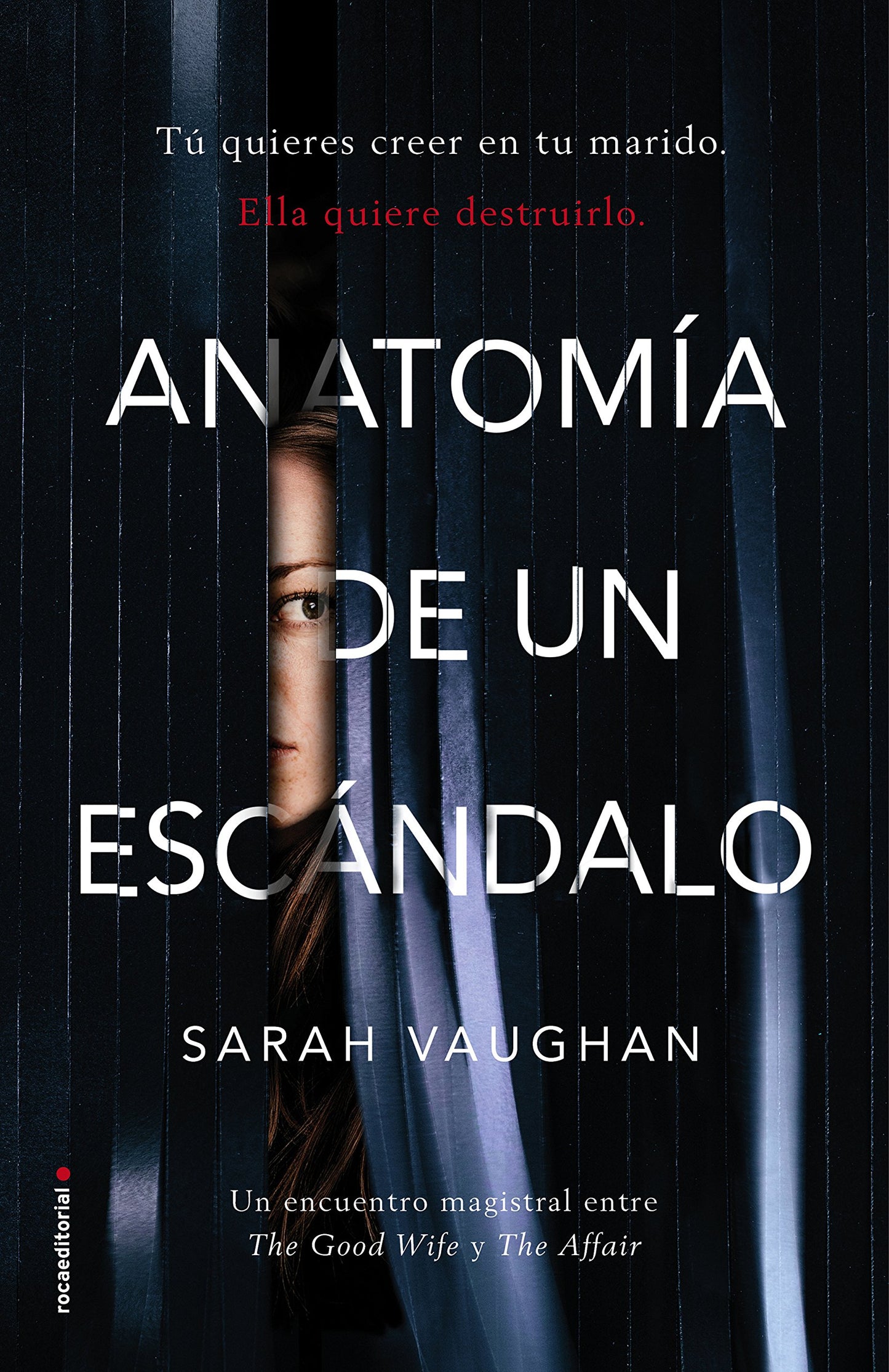 anatomía de un escándalo (thriller y suspense)