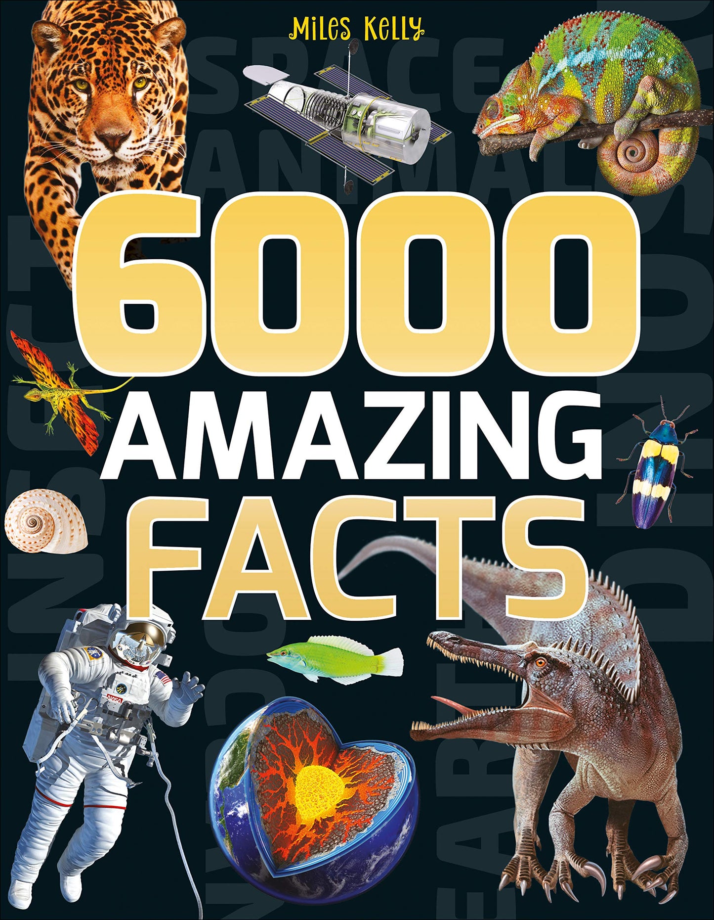6000 amazing facts