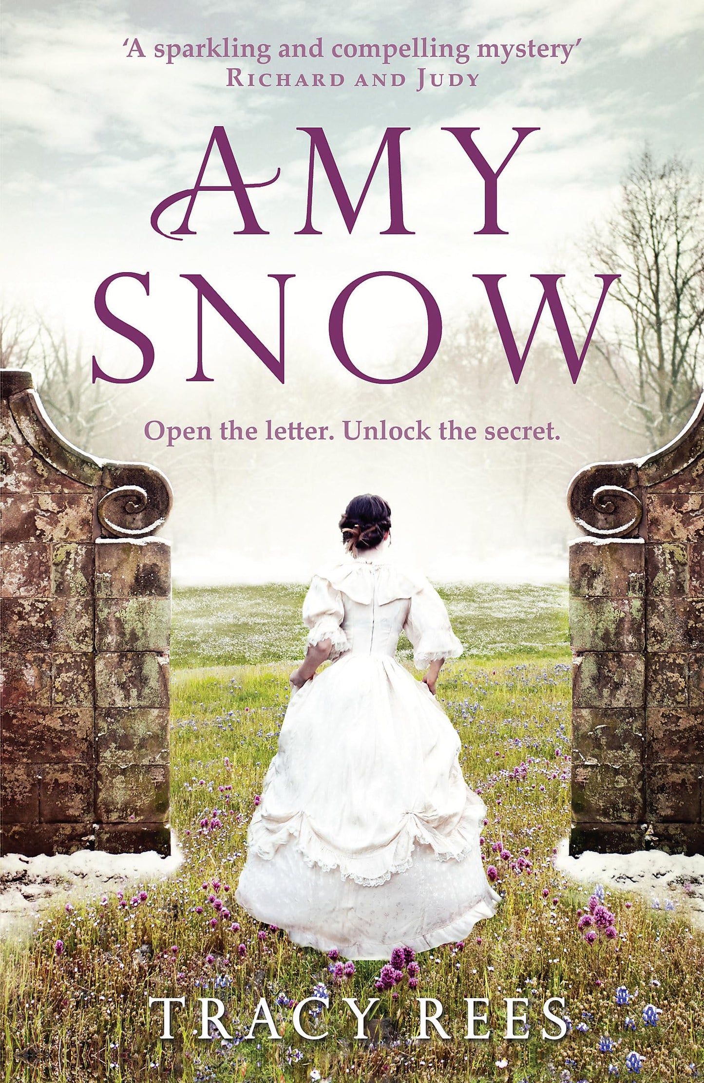 amy snow: the richard & judy bestseller